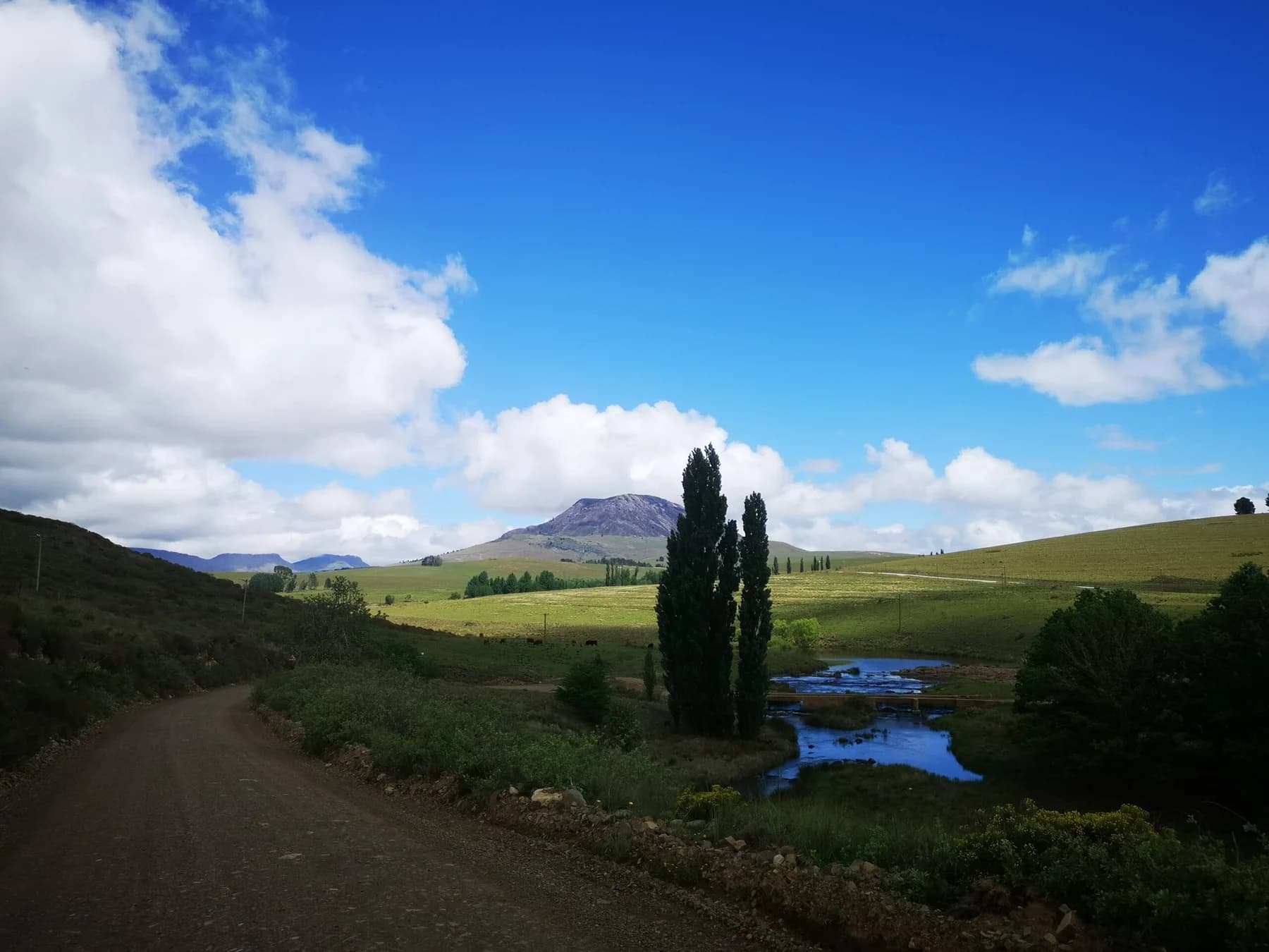 A gravel road crossing green farmland towards the mountains near Hogsback
