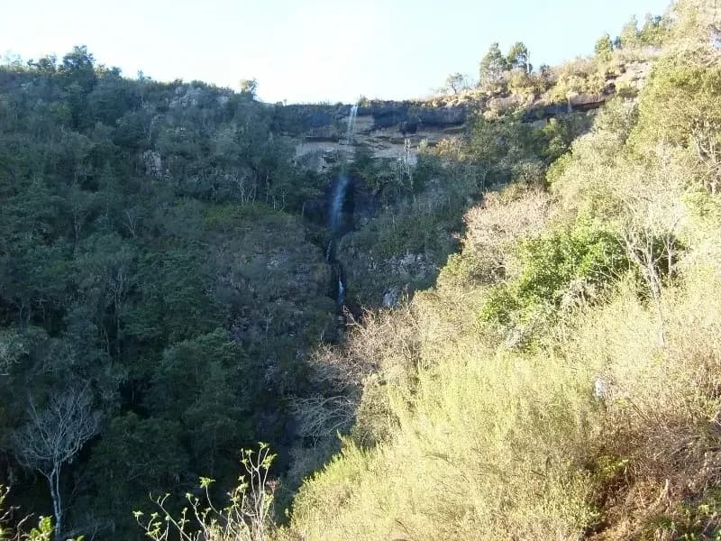Kettlespout Falls dropping from the escarpment into the wooded valley