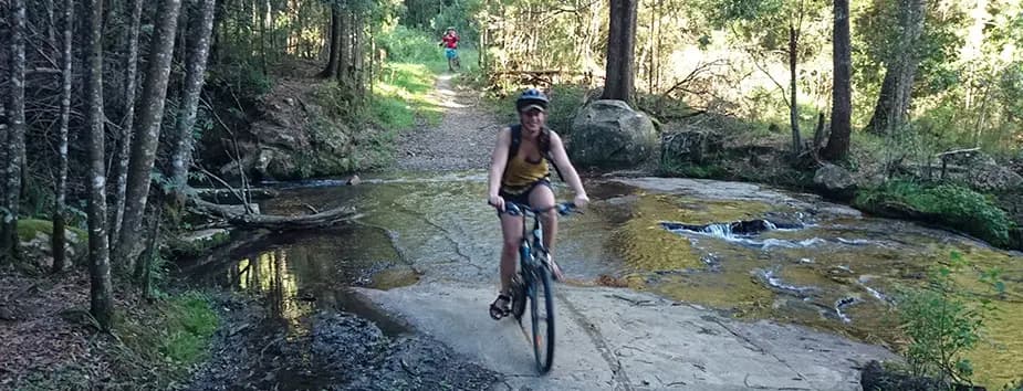 A cyclist crossing a stream on a shaded forest trail