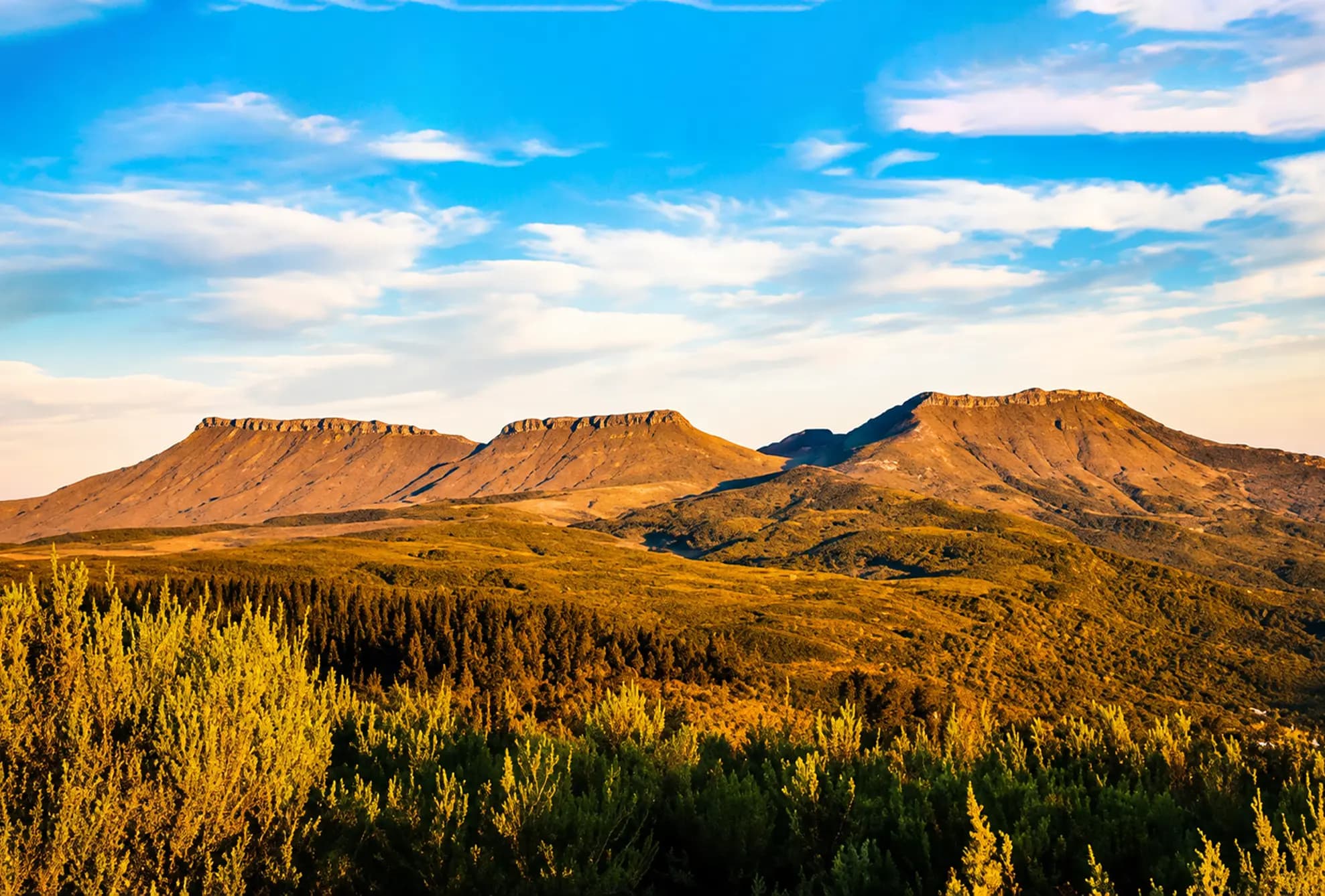 Warm evening light on the Hogsback mountain ridges
