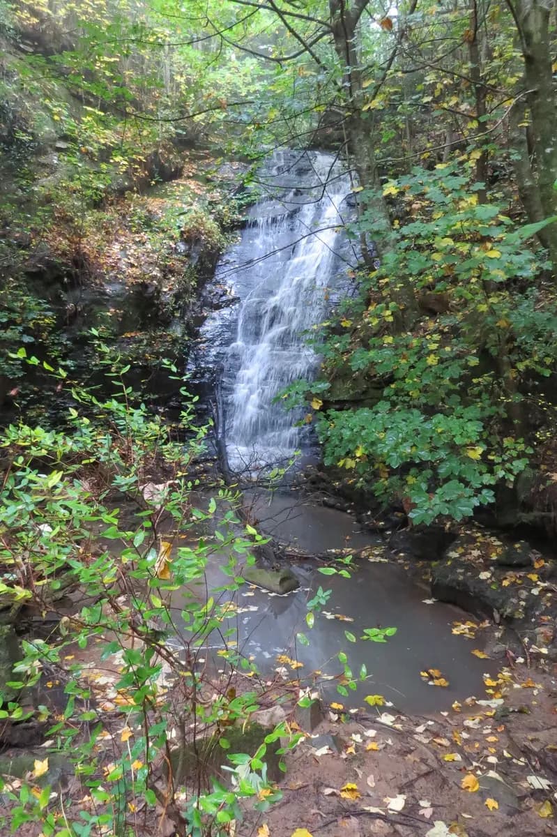 A waterfall dropping through dense Hogsback forest