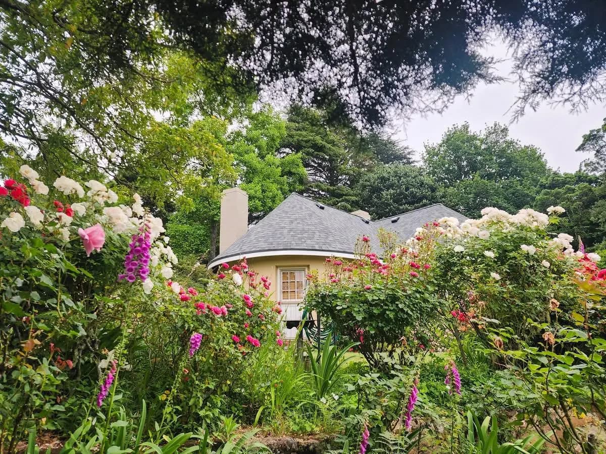 A cottage surrounded by flowers in the Mistlea garden