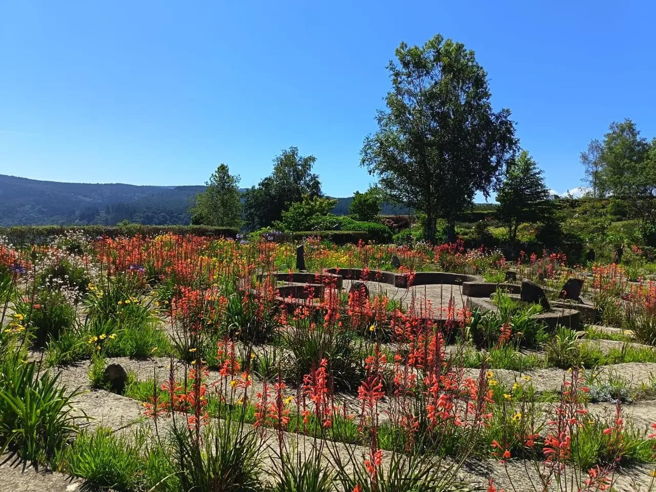 A colourful garden with mountain views at The Edge