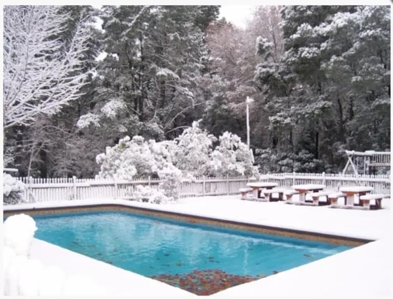 A turquoise pool surrounded by snow-covered trees