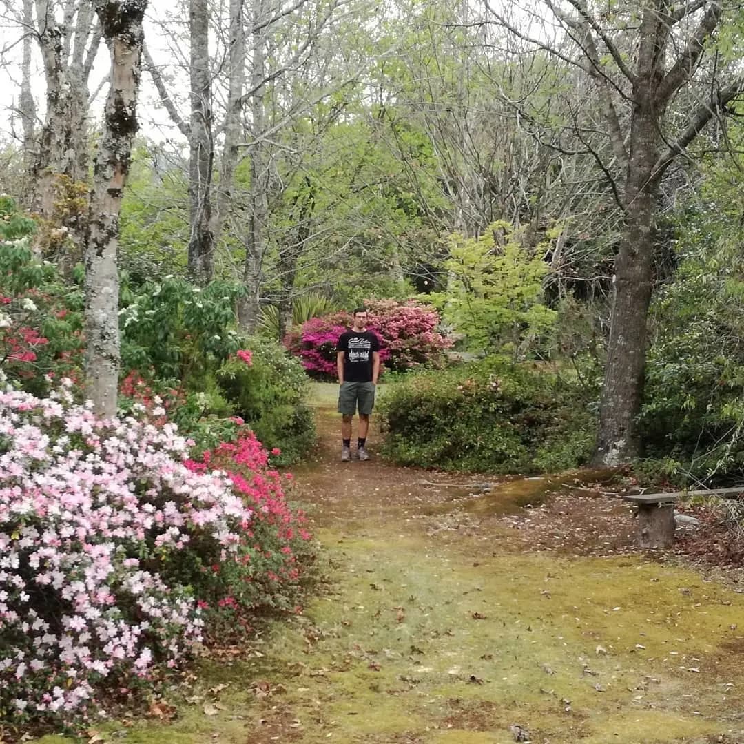 A garden path between flowering shrubs and tall trees at the Arboretum