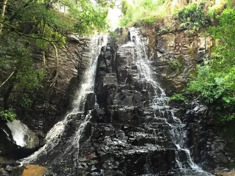 Water flowing down rock steps in the forest