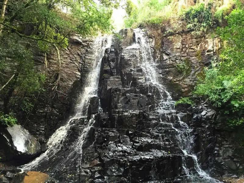 39 Steps in Hogsback