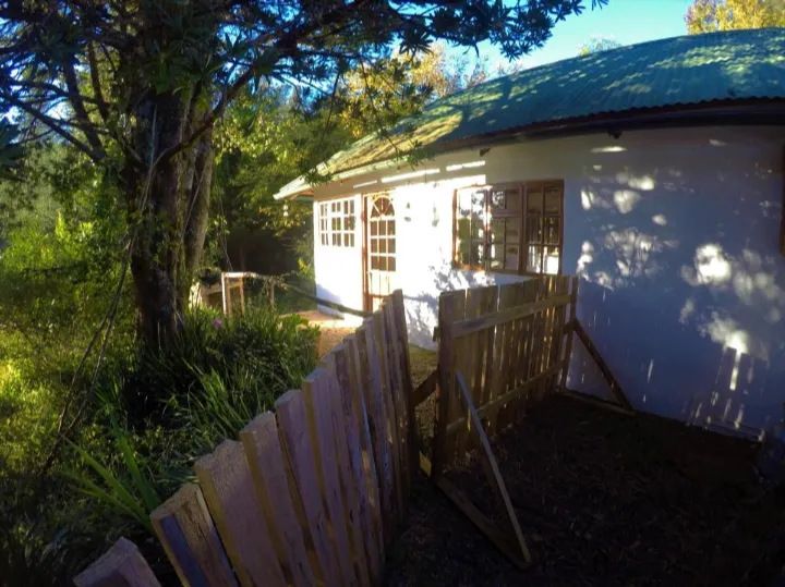 HogWarts Forest in Hogsback