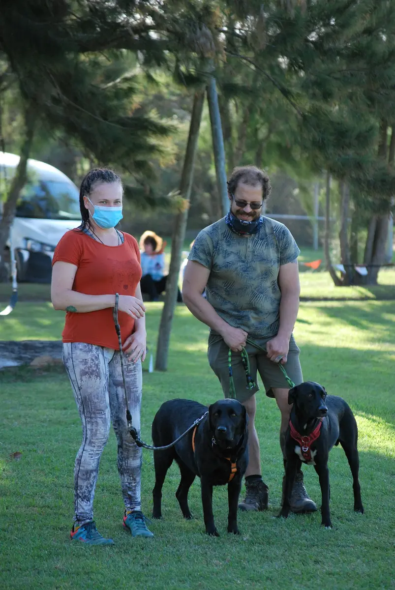 Dogs of Glory -Dog training, Socialization and Rehabilitation in Hogsback