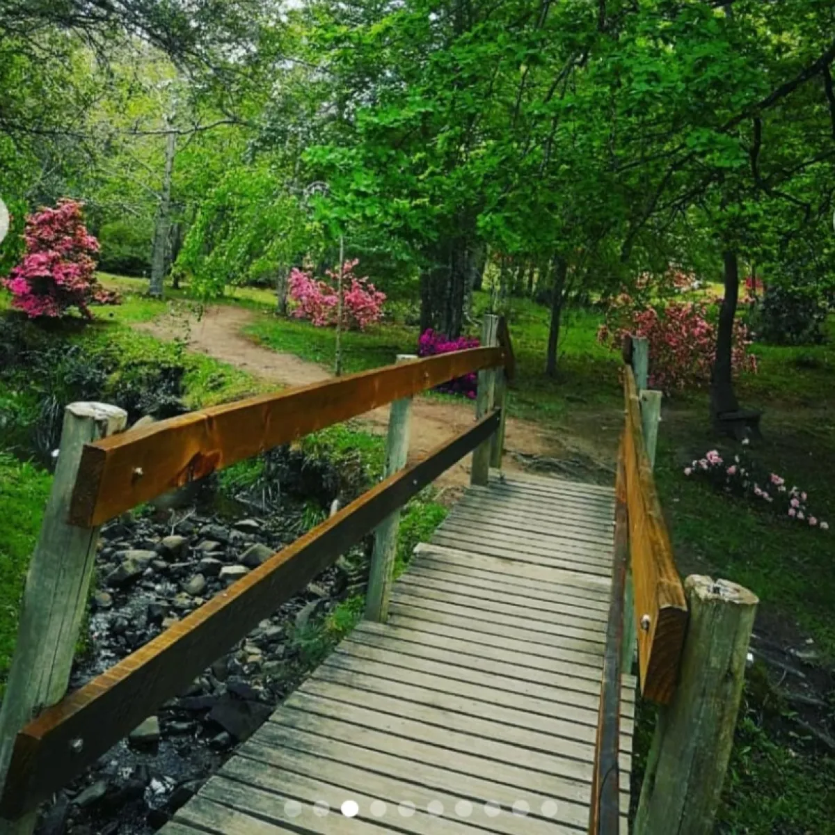 Arboretum in Hogsback