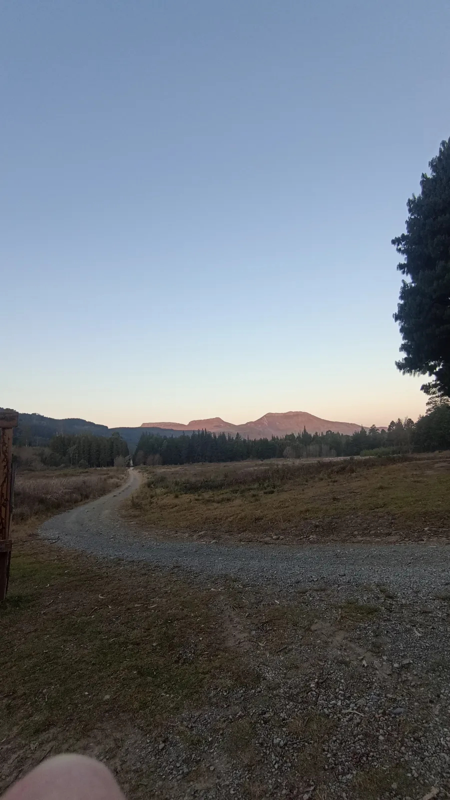 Forestry Kiosk in Hogsback