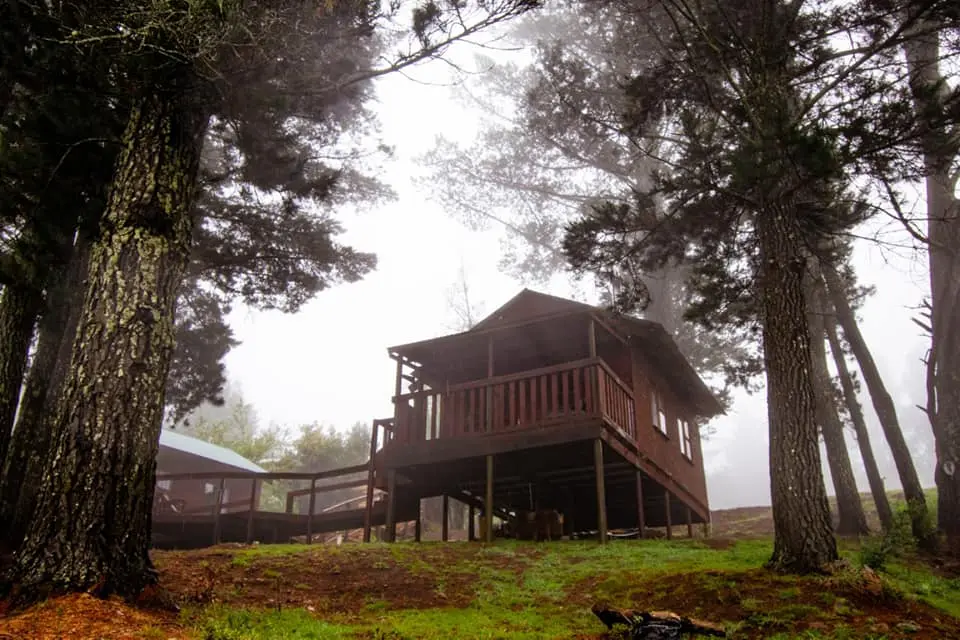 The Cabins Hogsback in Hogsback