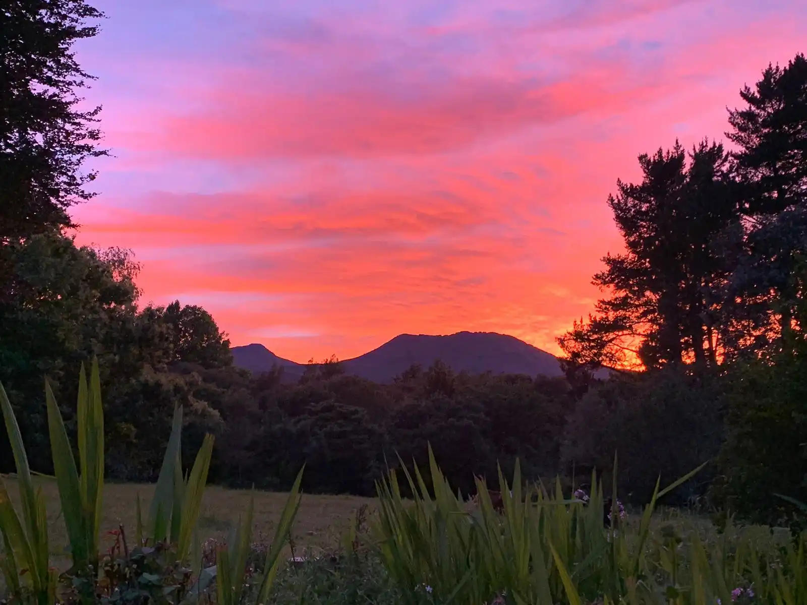 Hogsview in Hogsback