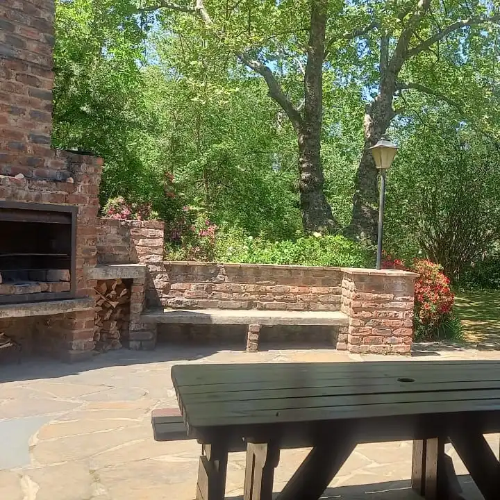 Liquid Amber in Hogsback
