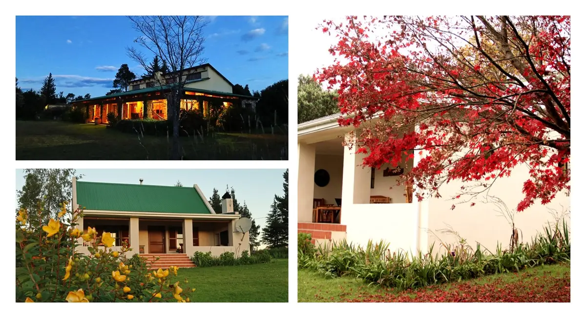 Trengwainton in Hogsback