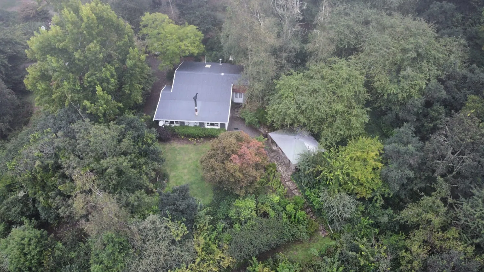 Maple Grove in Hogsback