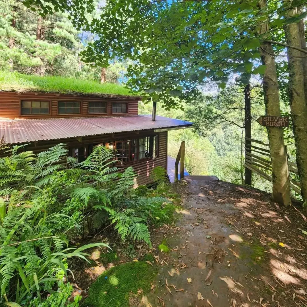 Hogrock Falls Cabins in Hogsback