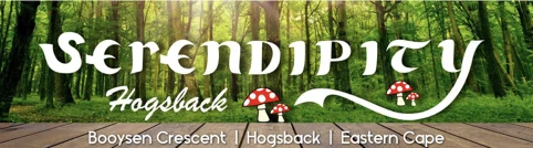 Serendipity logo