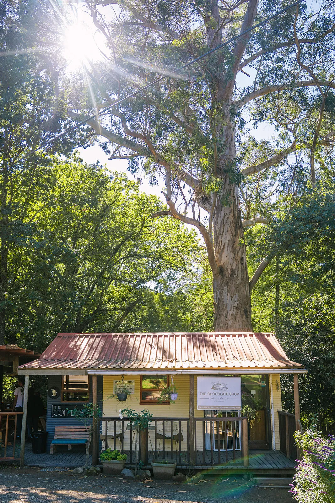 Coffee & Chocolate shop in Hogsback