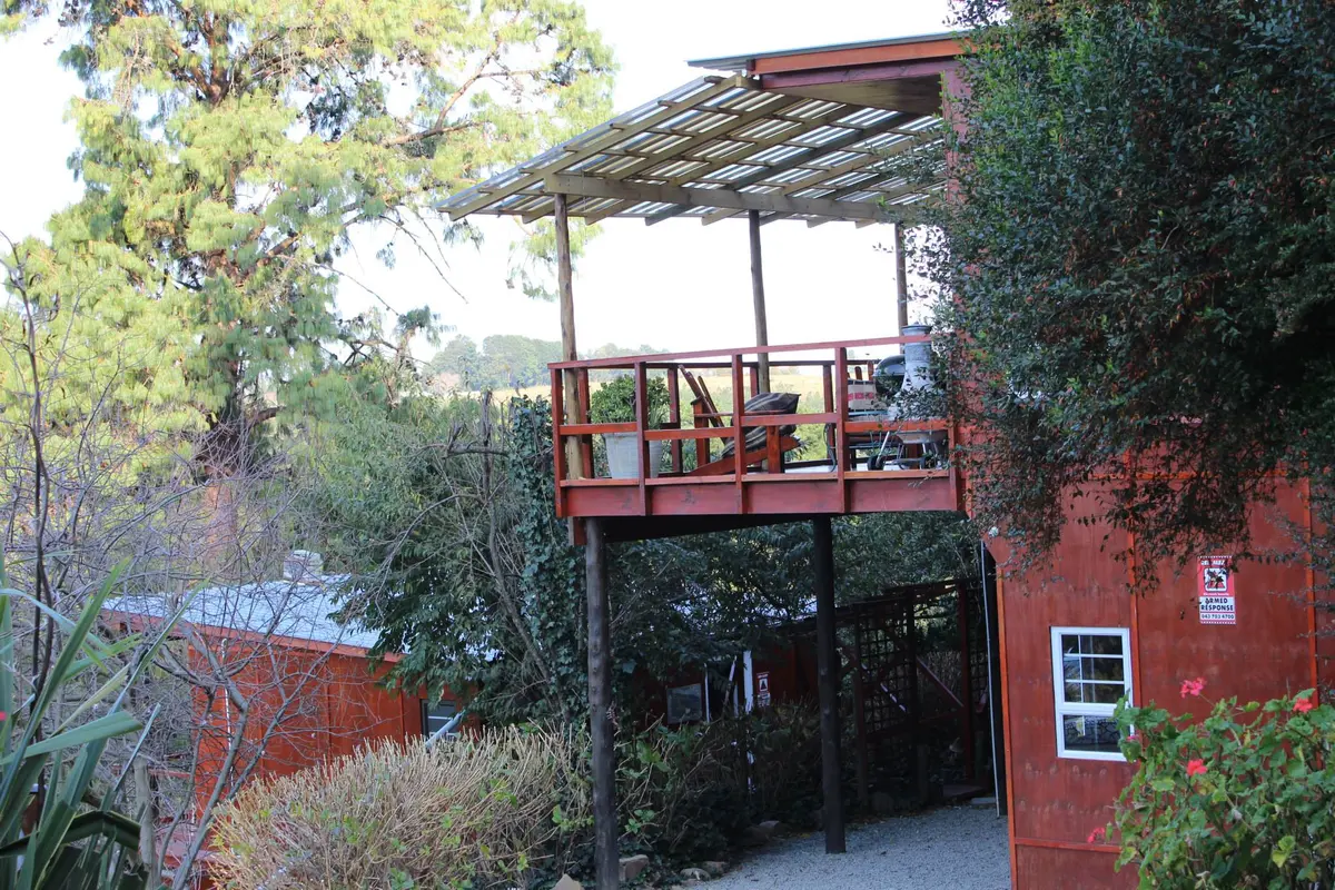 Serendipity in Hogsback