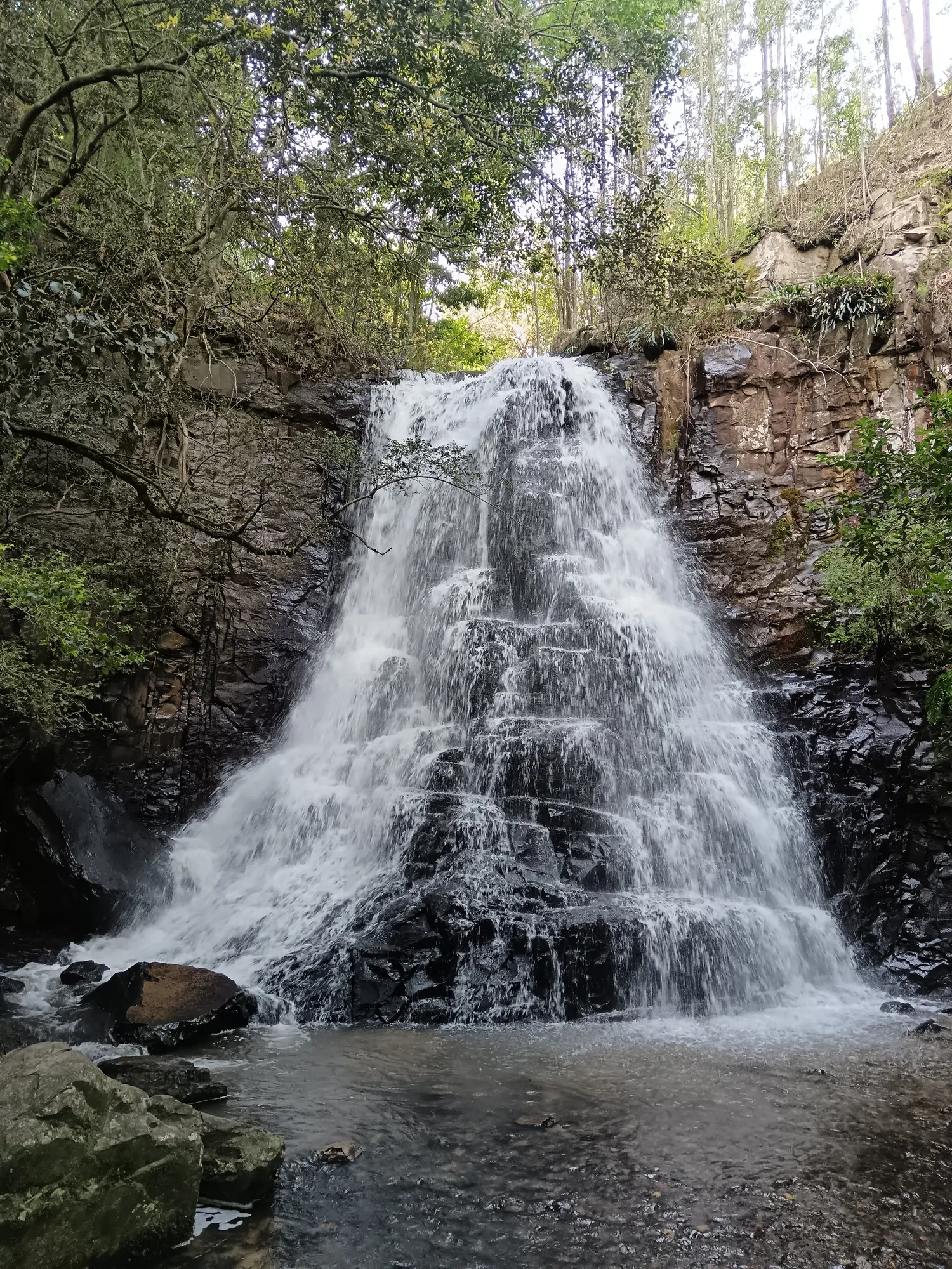 39 Steps Waterfall in the Hogsback Arboretum