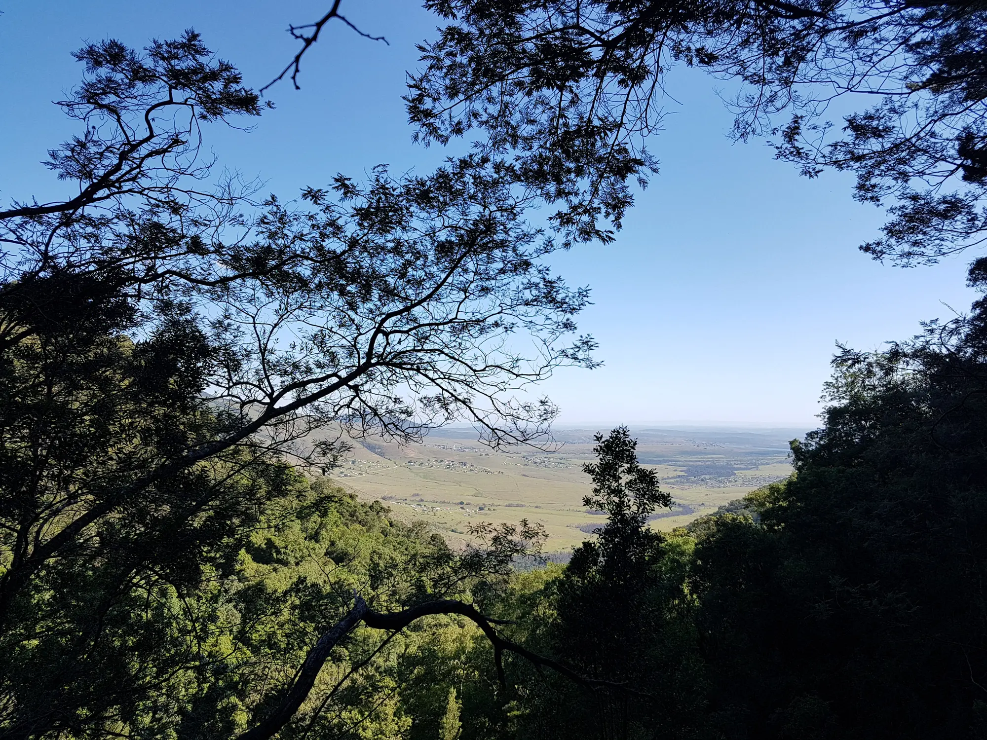 Swallowtail Falls in Hogsback
