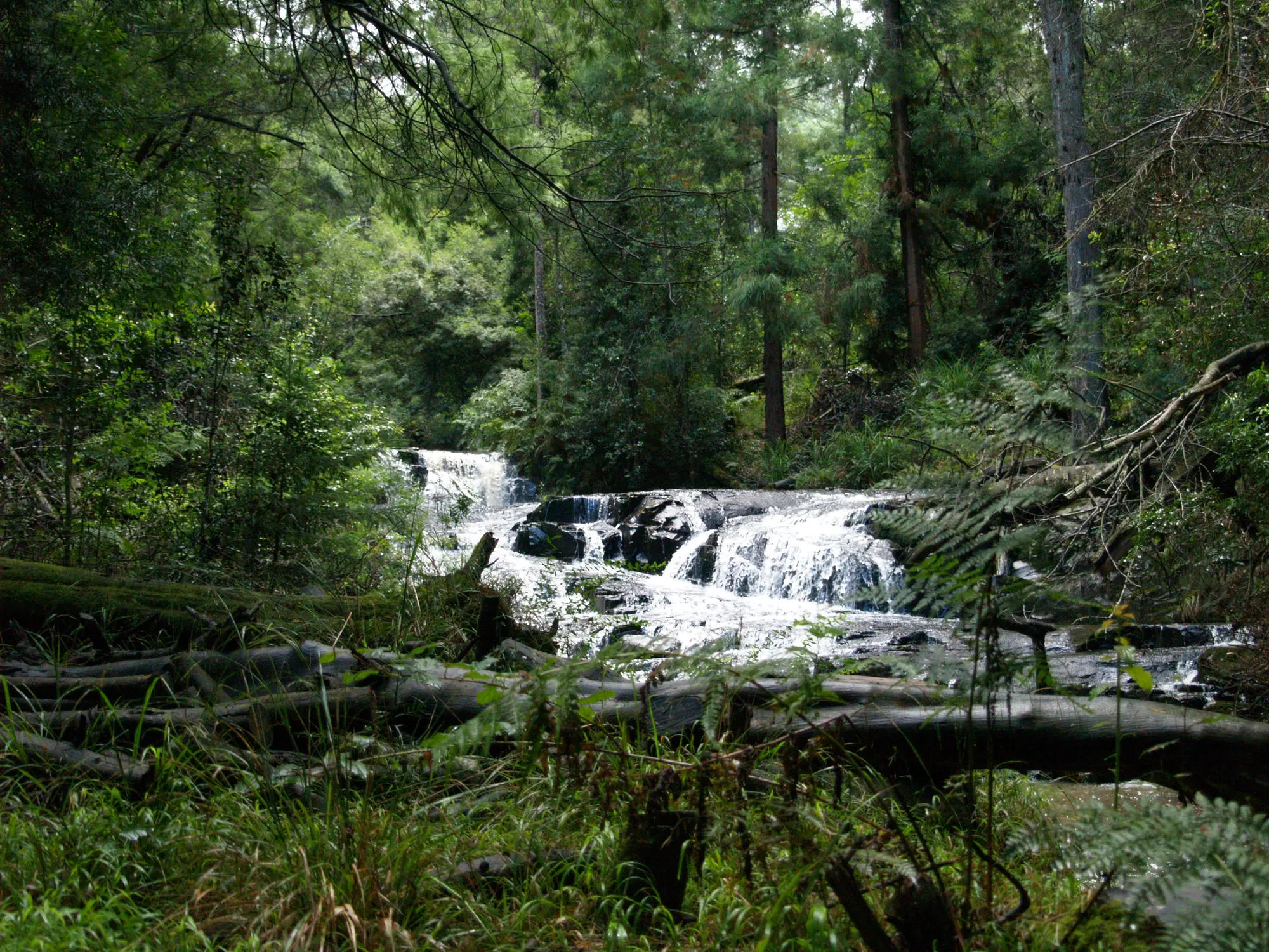 Natural landscape beside Swallowtail Falls