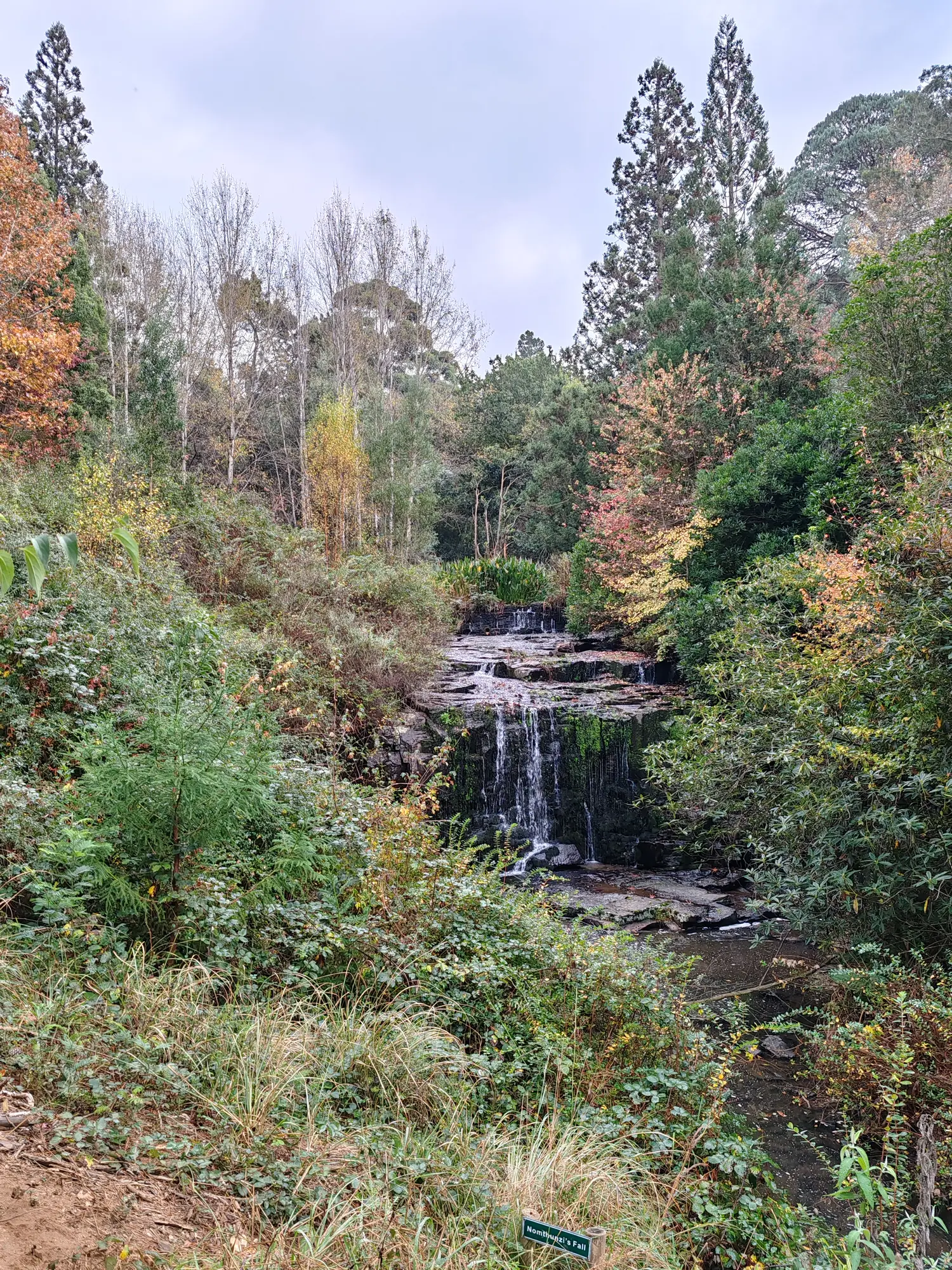 The landscape around Swallowtail Falls