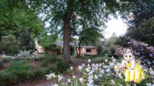 Granny Mouse House in Hogsback