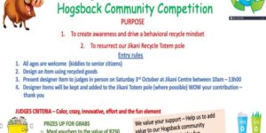 Enter our Hogsback recycling competiton