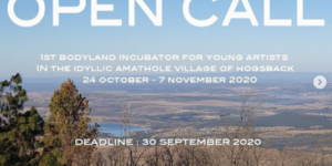 Young Artists Residency