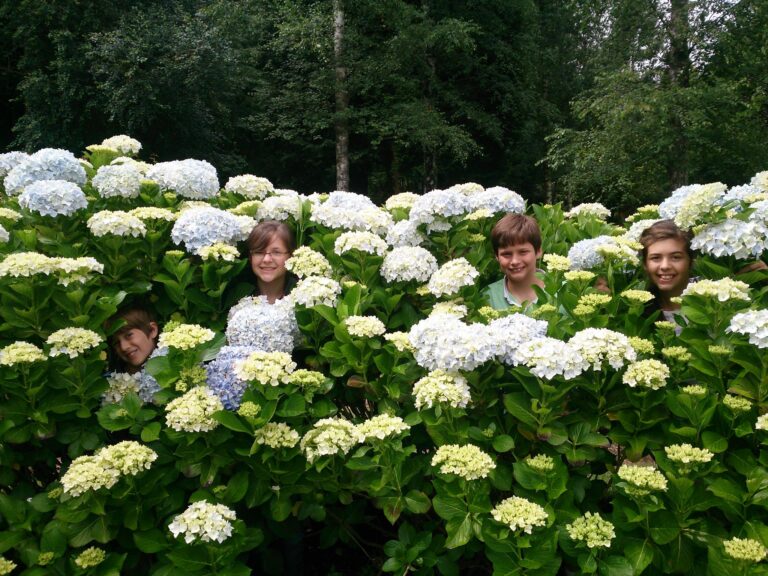 10257417 883205048398446 768171106006542463 o 768x576