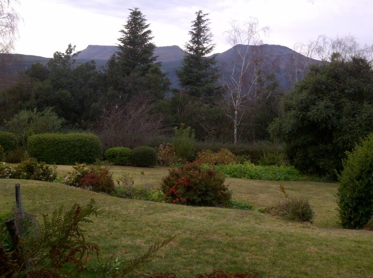 10271326 740840962634856 6164613573846045019 o 768x573