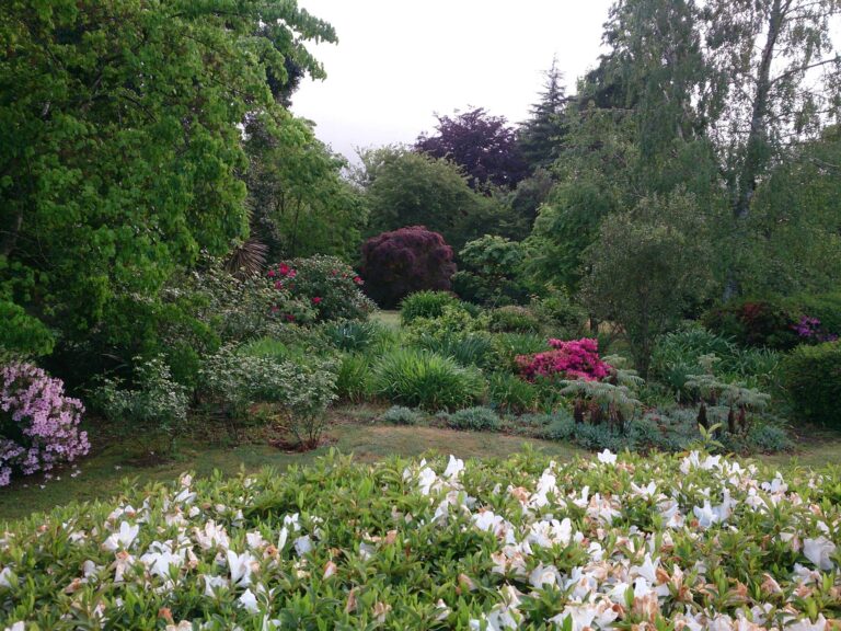 11043208 908406992544918 2155071166587588029 o 768x576