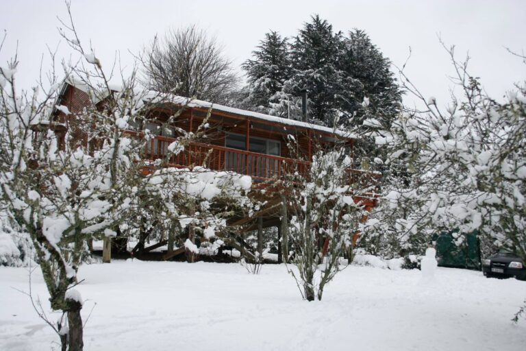 116153851 2711293208972880 9003382236427405687 o 768x512