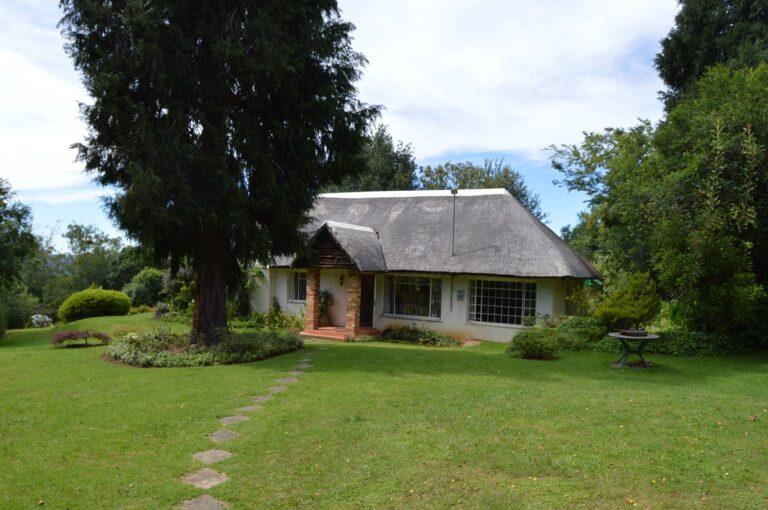 11802766 987803404605276 7482912156386783019 o 1 768x510