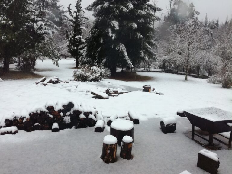 20901341 2331245277101156 307413368309866177 o 768x576