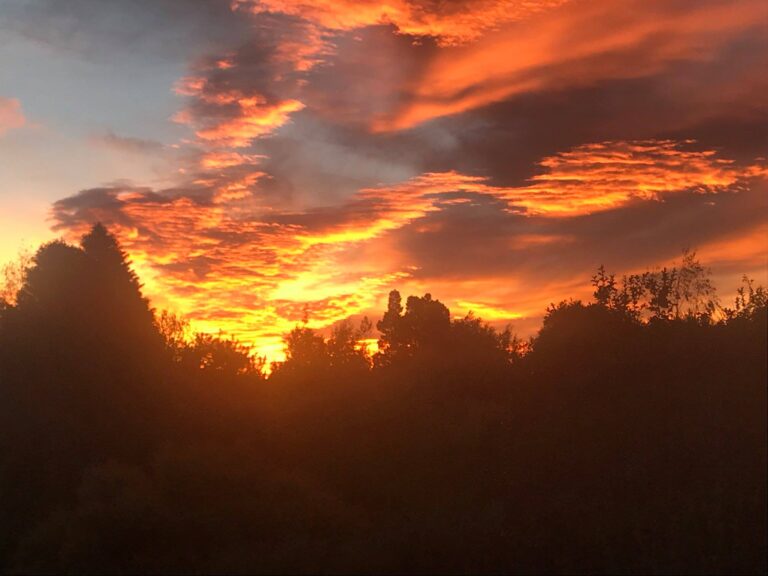 30443480 1311367622298786 2829355920088104960 o 768x576