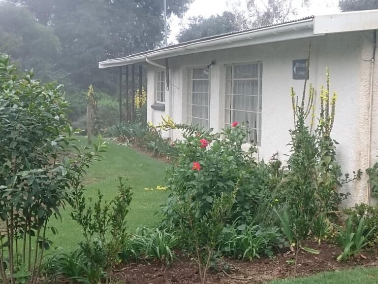 60954390 2434181773300758 309221947206533120 n 768x576