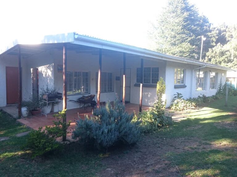 61099227 2434181806634088 8969127603772325888 n 1 768x576