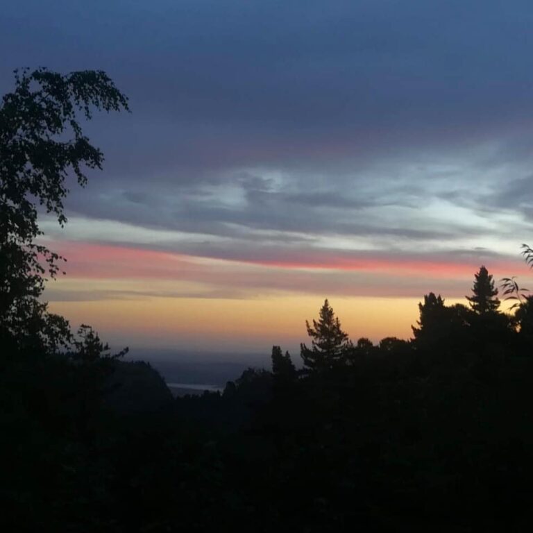 73324928 2366996090296642 1686195591949844480 n 768x768