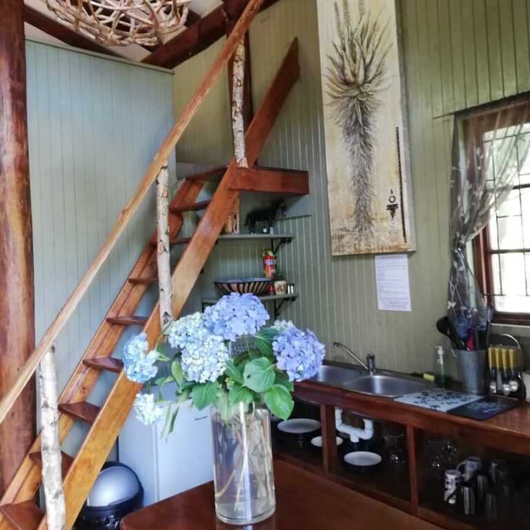 81778394 2425197754476475 5228260098828140544 n 768x768