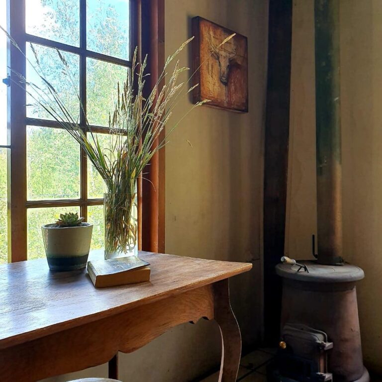 81869702 2420827231580194 6314654312366604288 n 768x768