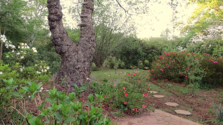 IMG 2548 0011 768x432