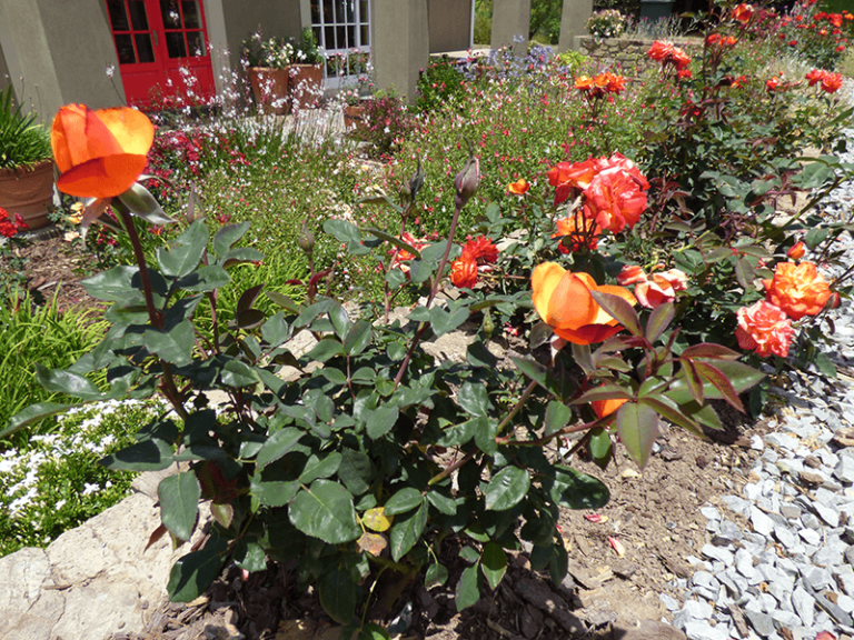 monsgallery 06 768x576