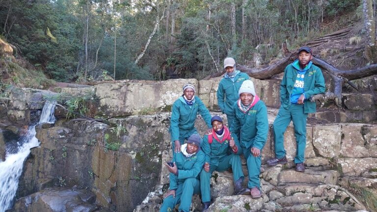 Cape Parrot reforestation team 768x432