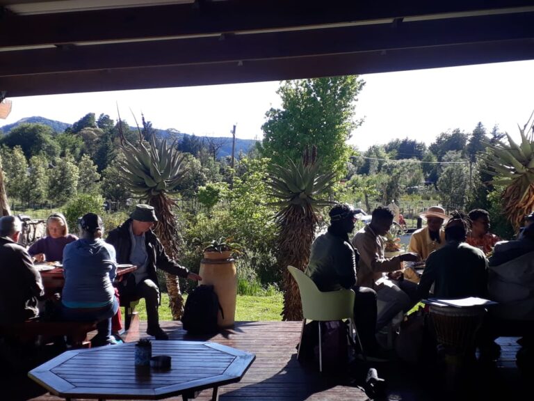 IMG 20201103 WA0016 768x576