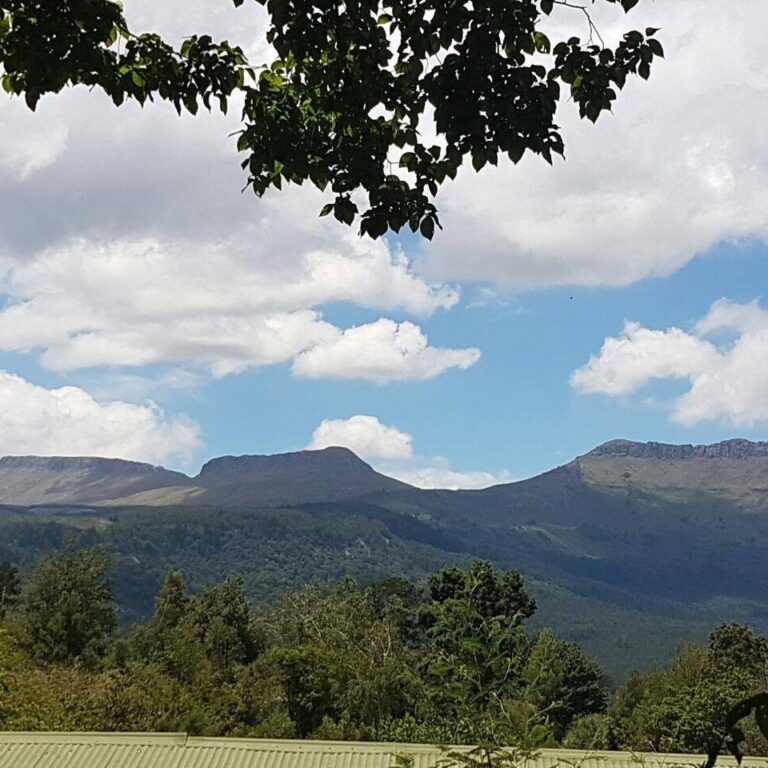 74957273 100495774758688 1777222398676828160 n 768x768