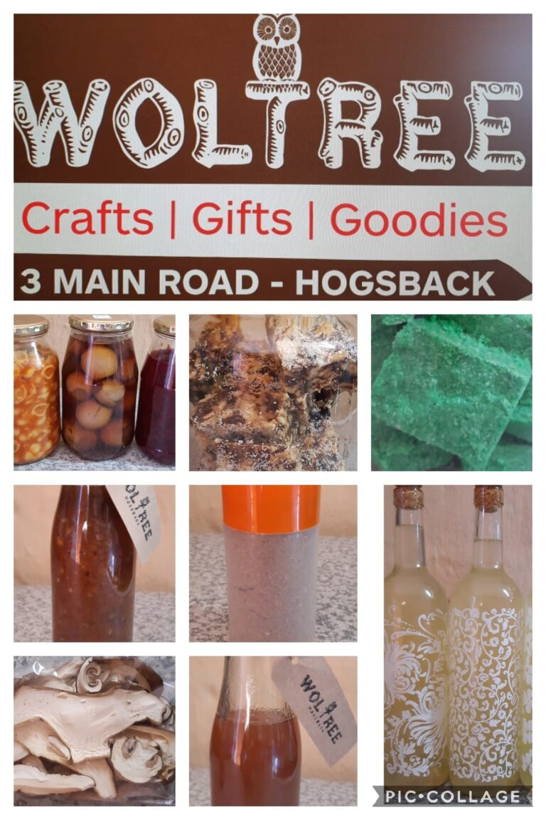 77032345 171175274357404 4971807129137577984 o 768x1152