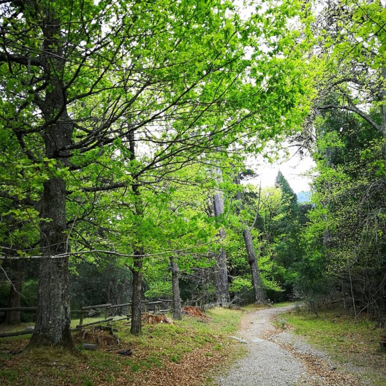 81875824 605415343581862 3182882814815676261 n 768x768